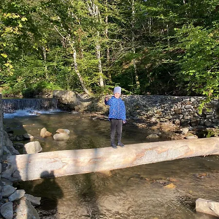 公寓 у дохтора відпочинок у карпатах *