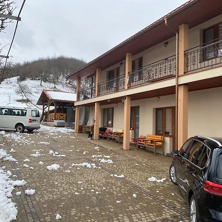 у дохтора відпочинок у карпатах