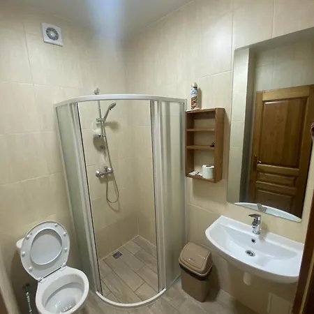 Apartmán у дохтора відпочинок у карпатах Golubinoye